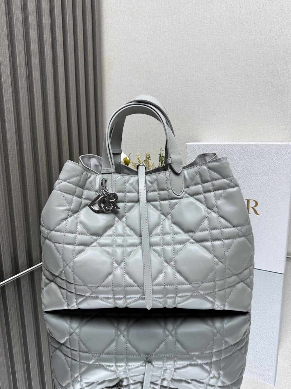 Ezyycart Bags Diorn Luxury Bag --116404