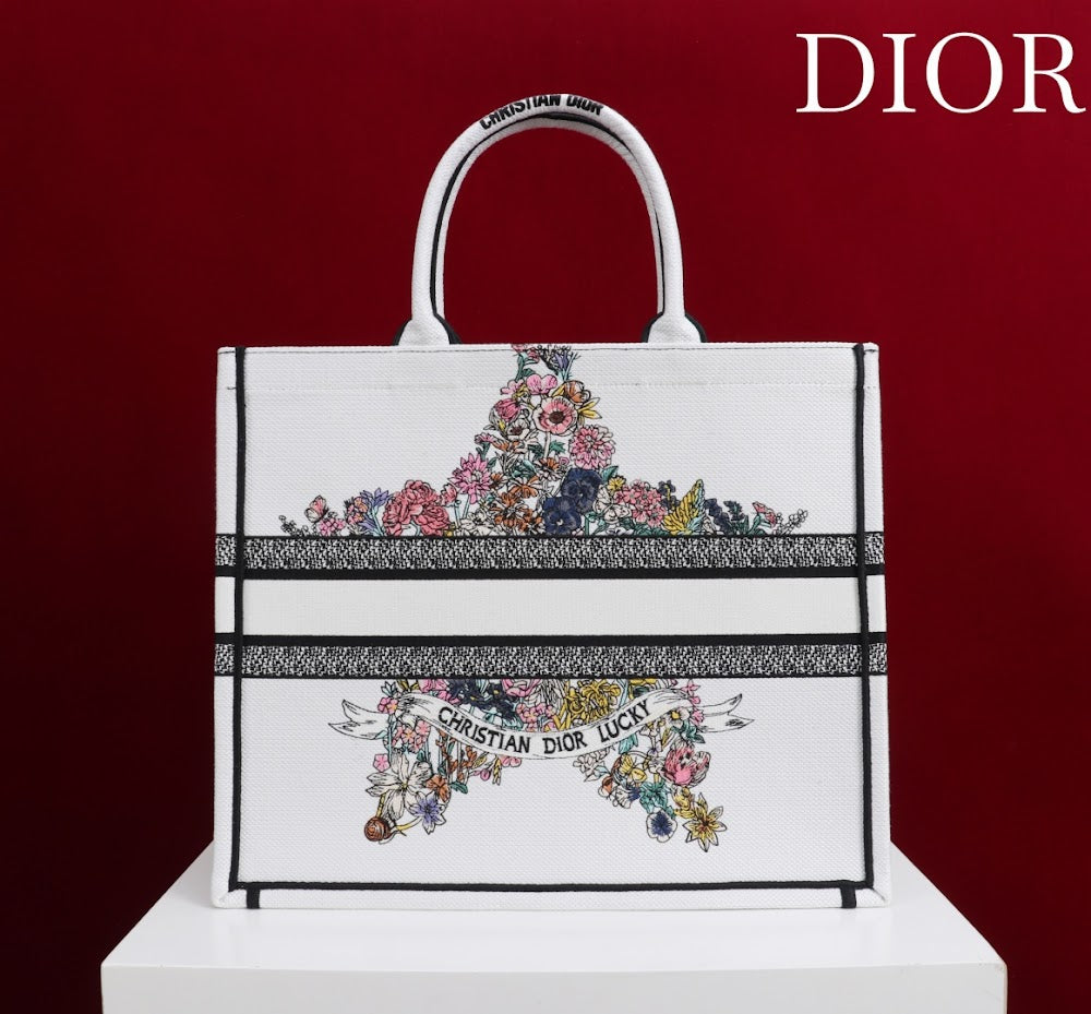Ezyycart Bags Diorn Luxury Bag --116159