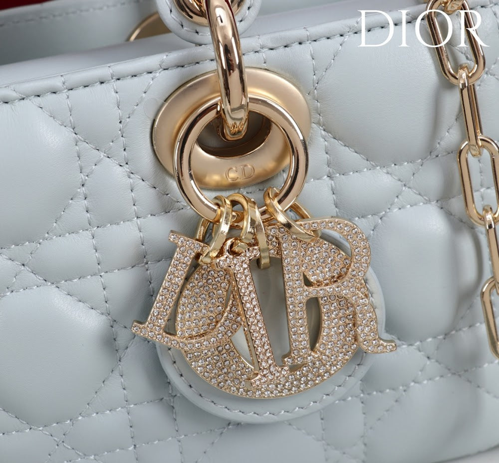 Anum Bags Diorn Luxury Bag --114789