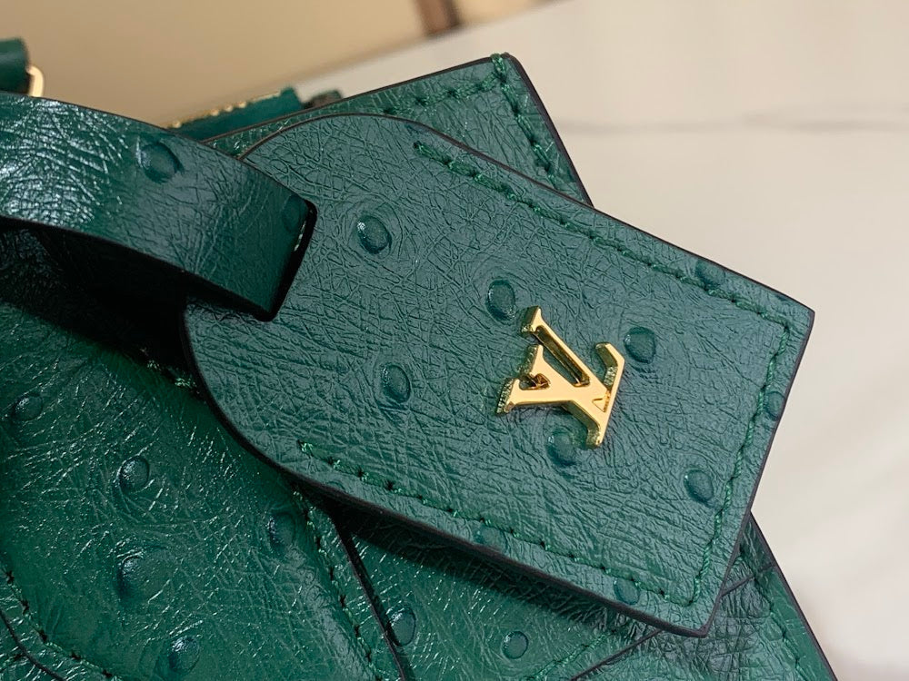 Anum Bags ln Luxury Bag --56569
