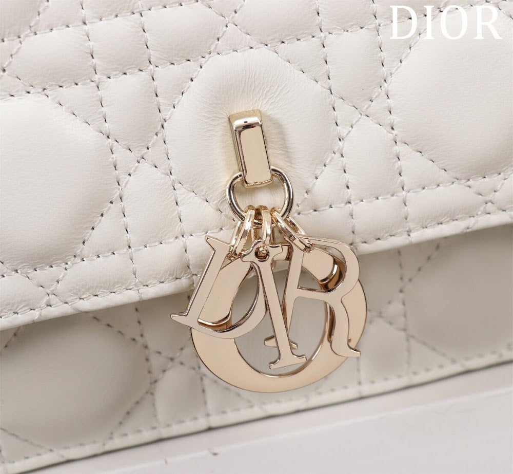 Ezyycart Bags Diorn Luxury Bag --116288