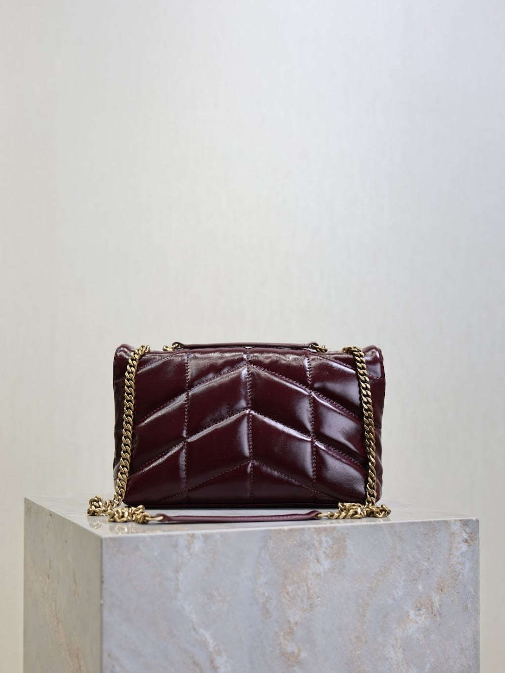 Ezyycart Bags YSLn Luxury Bag --119720