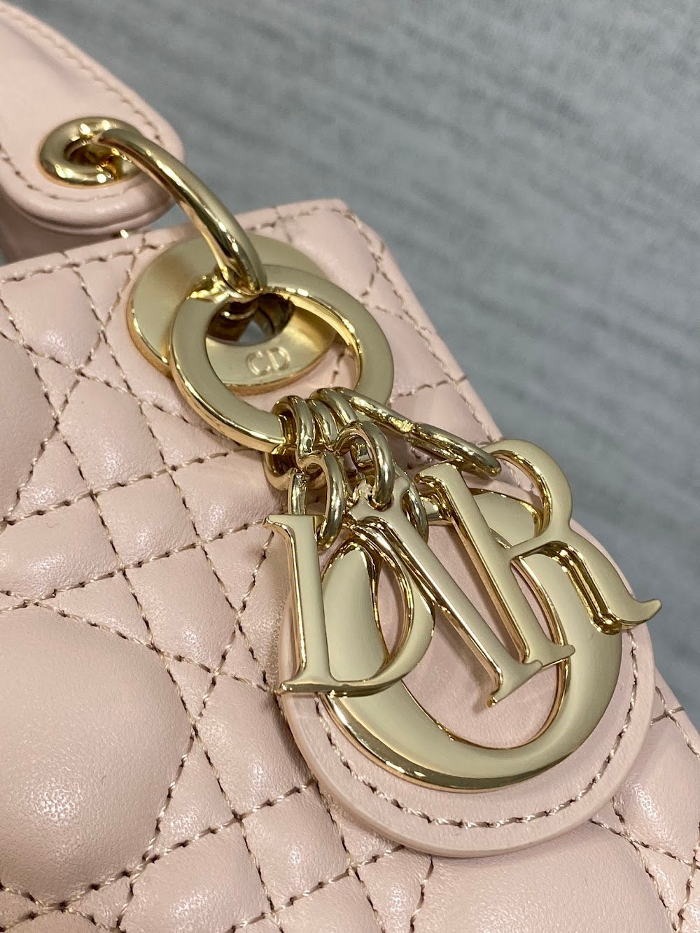 Anum Bags Diorn Luxury Bag --114983