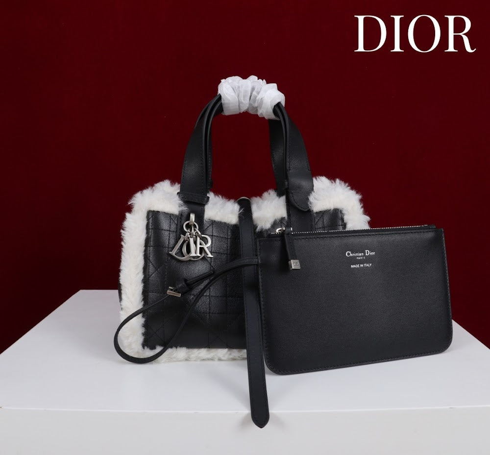 Anum Bags Diorn Luxury Bag --114888