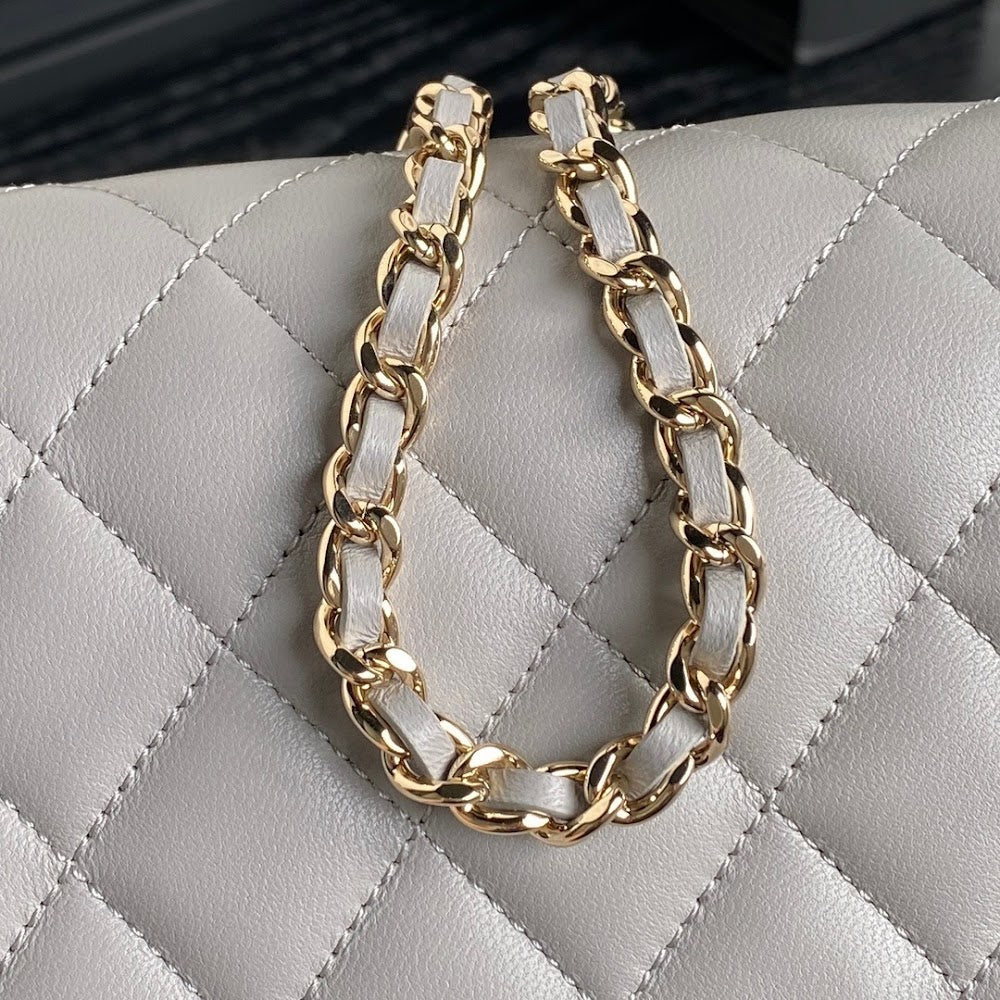 new-luxury-designer-bags-nm20065