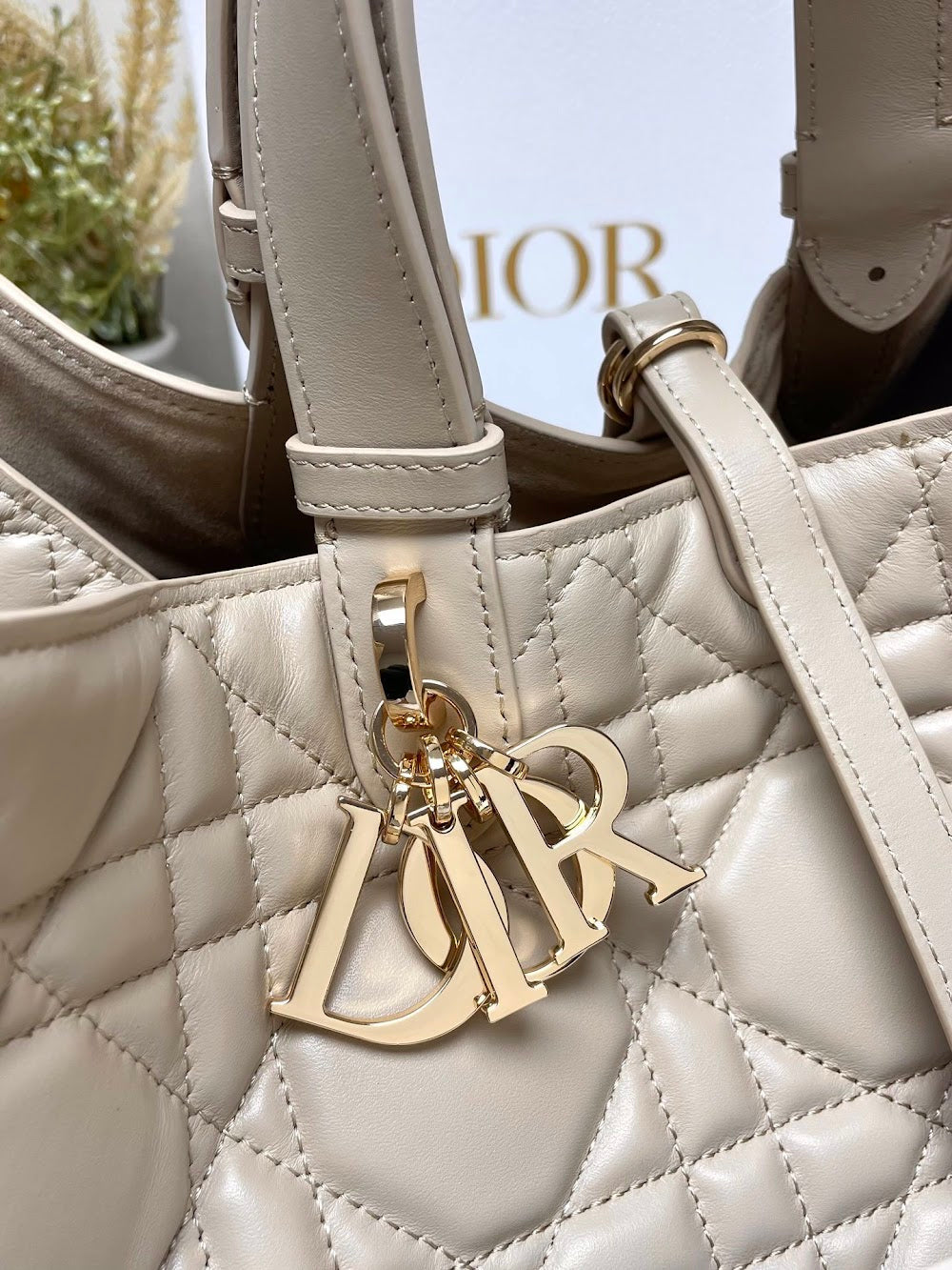 Ezyycart Bags Diorn Luxury Bag --116411