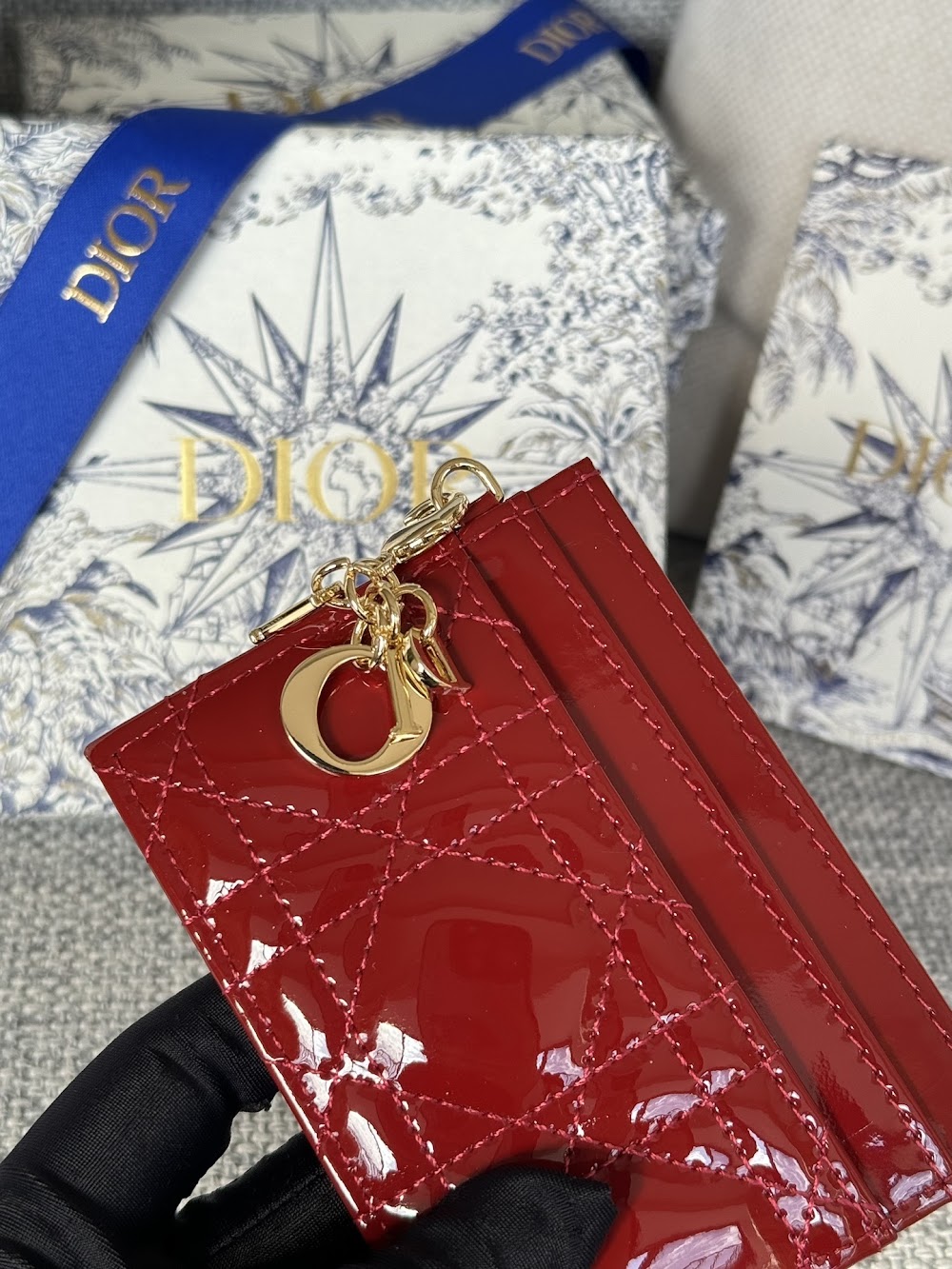Anum Bags Diorn Luxury Bag --114644