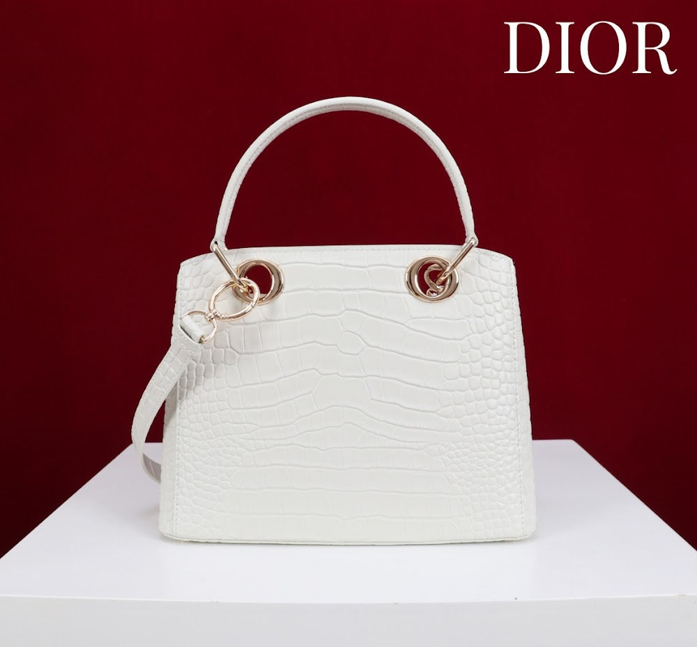 Anum Bags Diorn Luxury Bag --114793