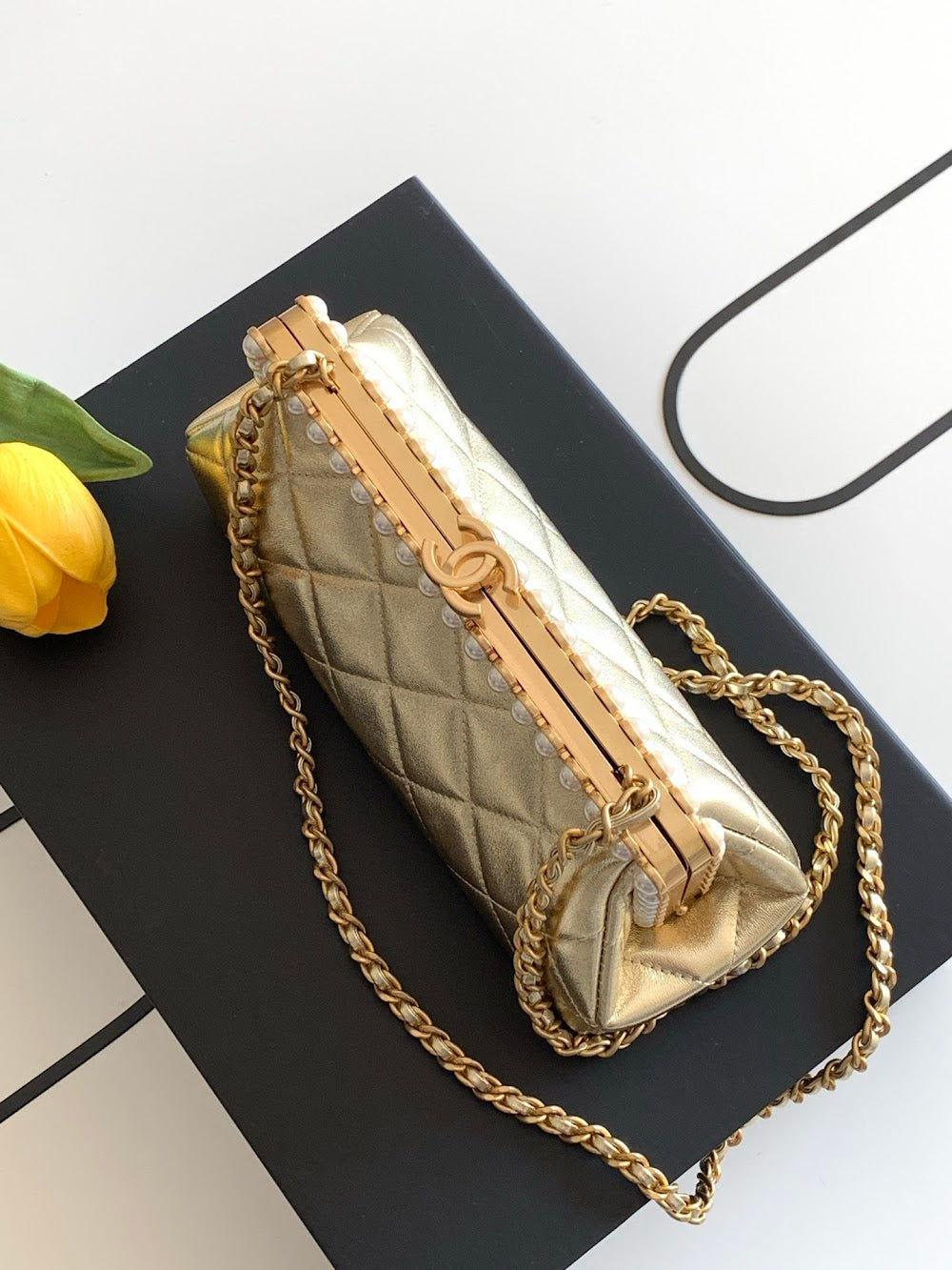 Anum Bags CHn Luxury Bag --113898