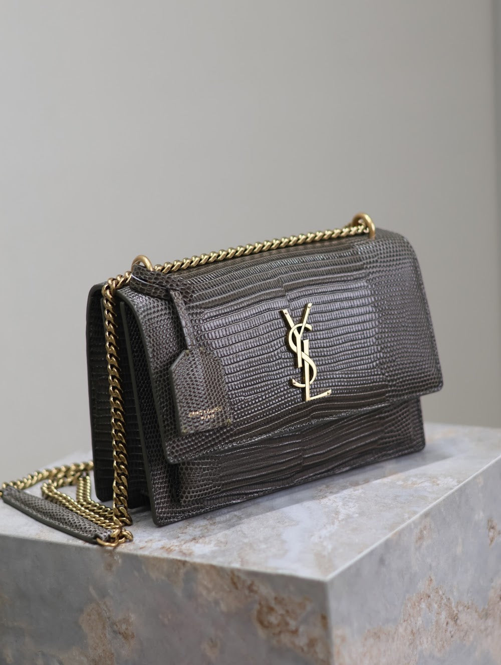Ezyycart Bags YSLn Luxury Bag --119544