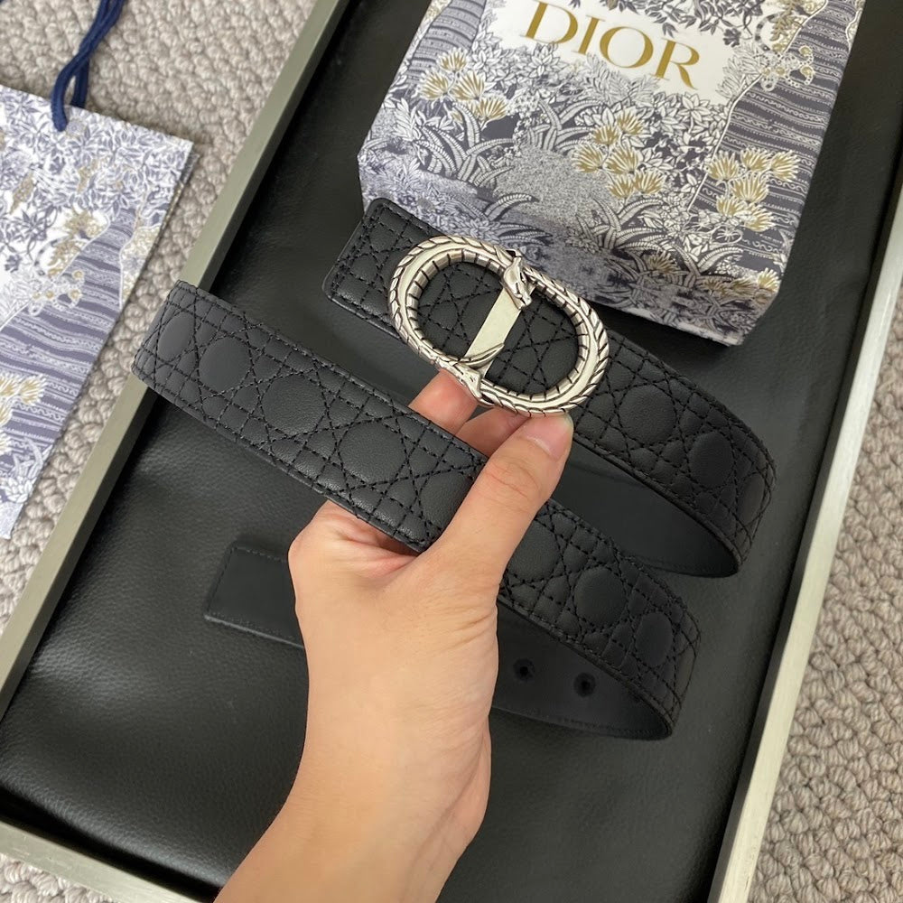 Anum Bags Diorn Luxury Belt --104899