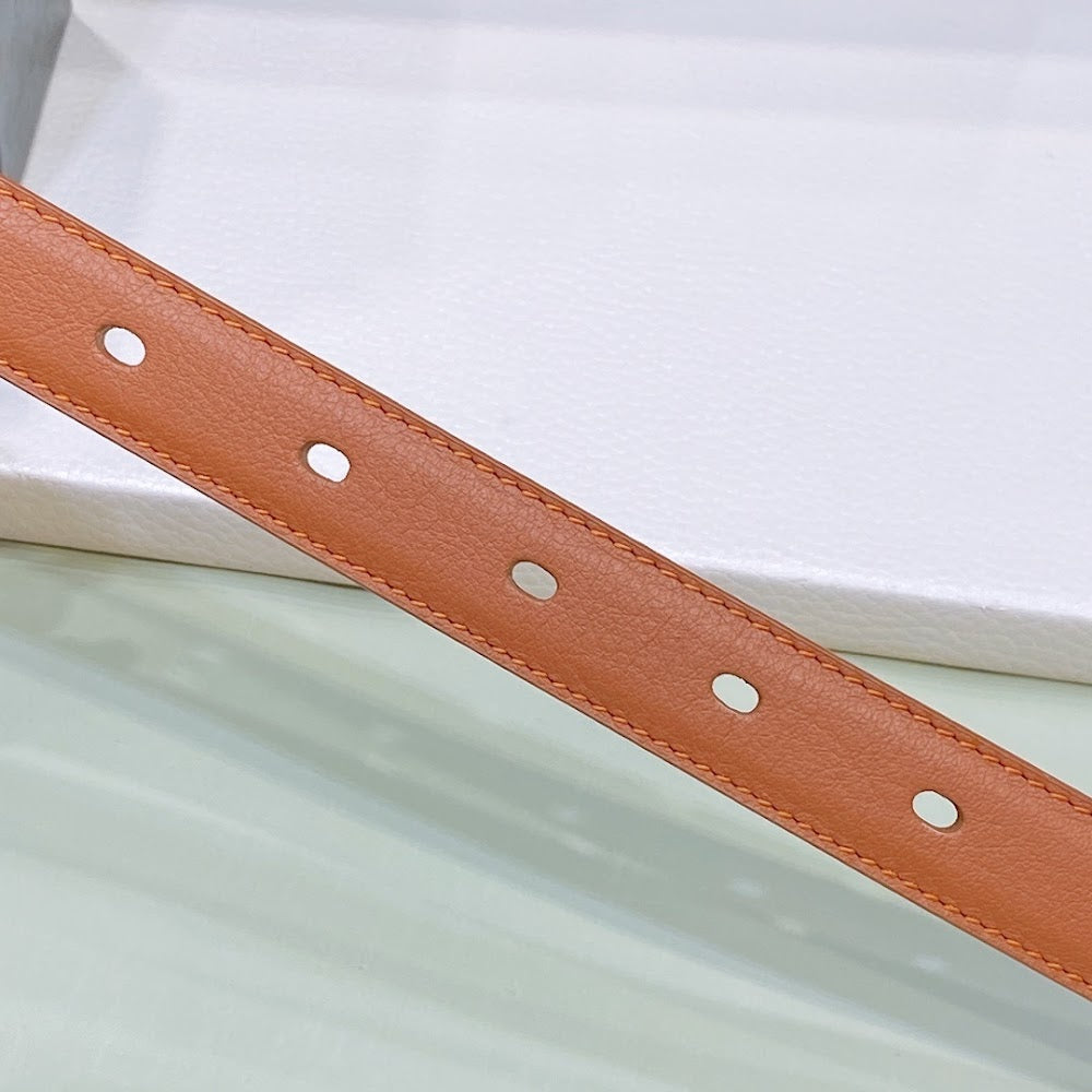 Ezyycart Bags YSLn Luxury Belt --107550
