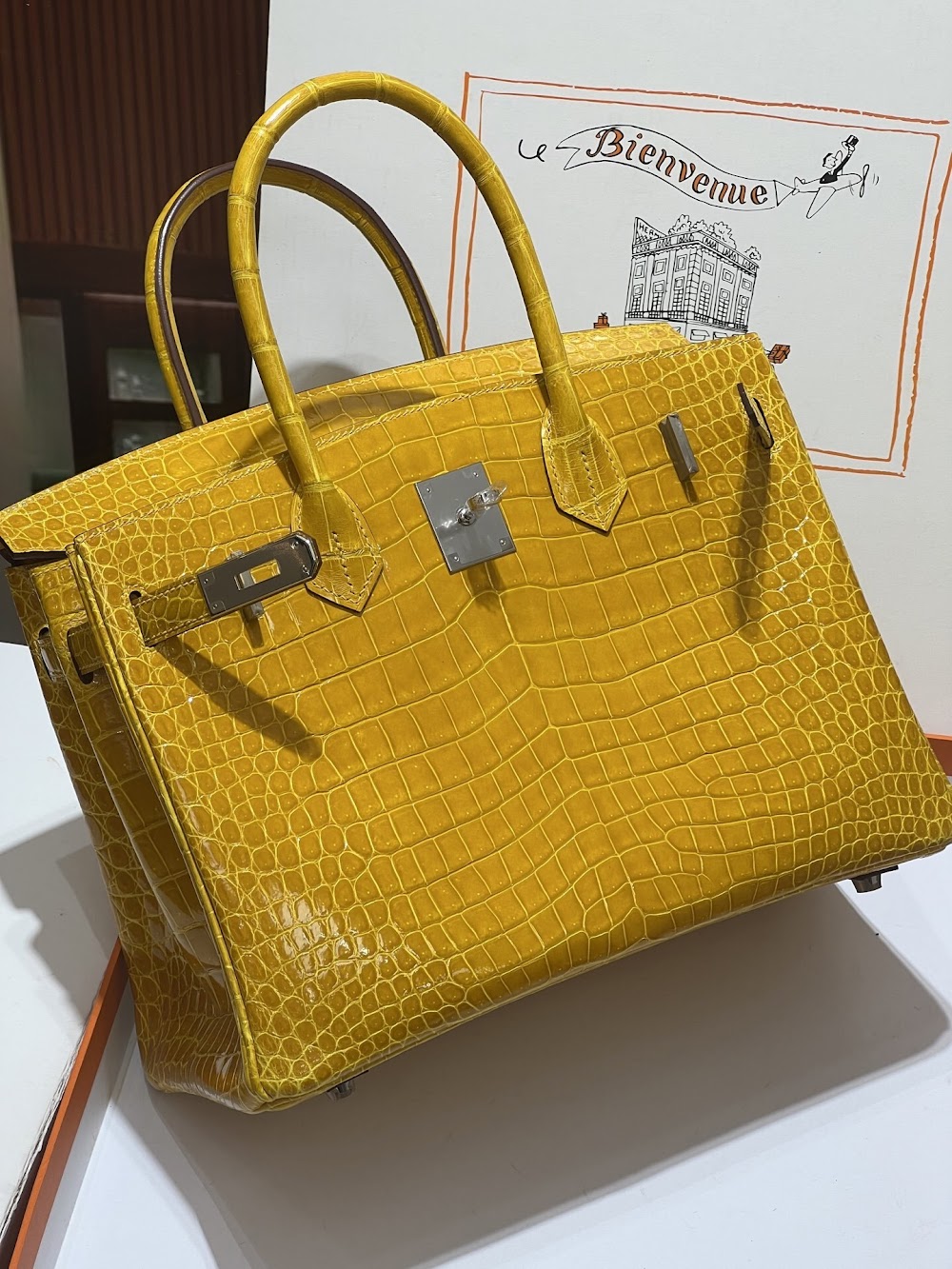 Anum Bags Hermesn Luxury Bag --117156