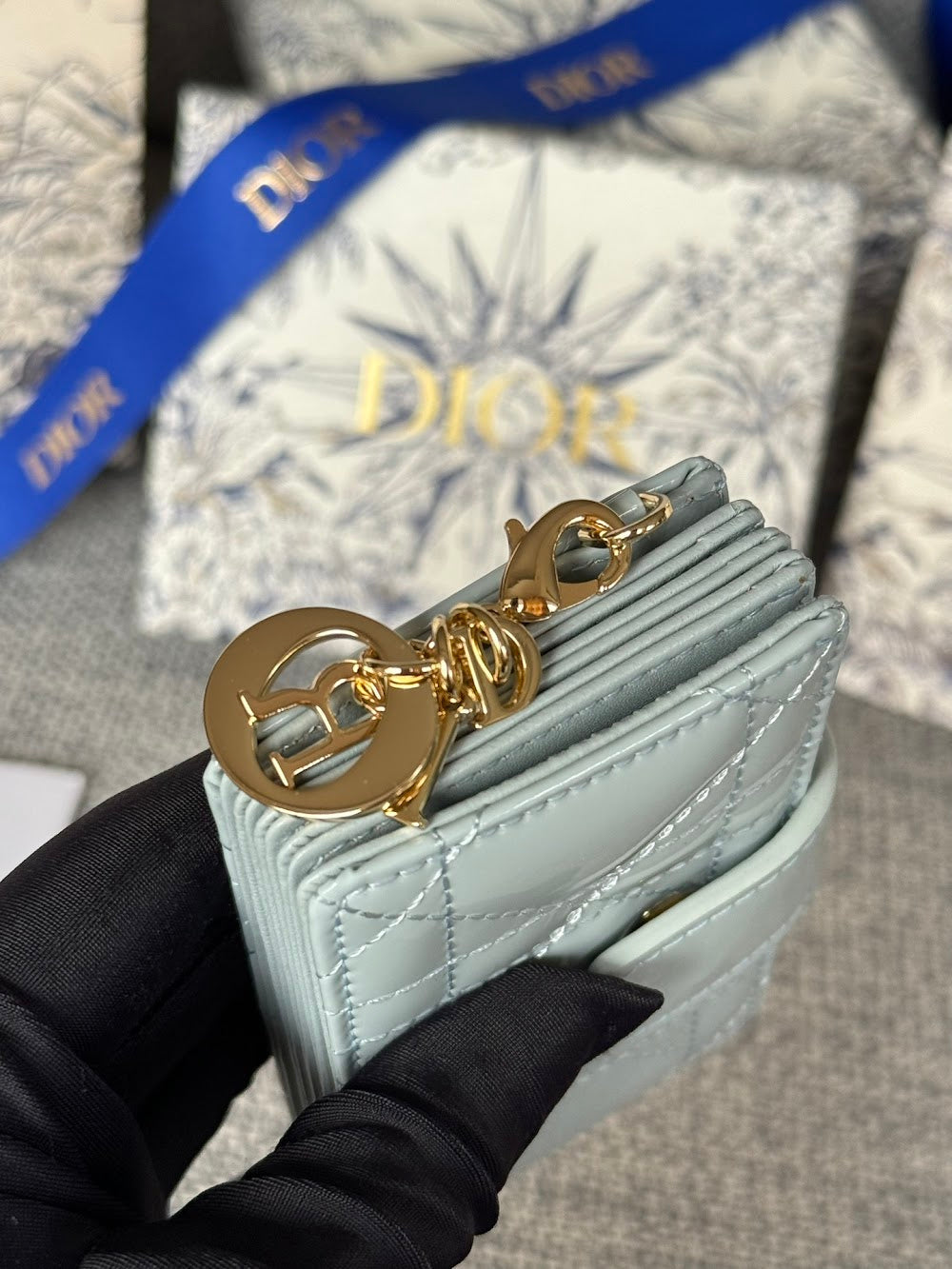 Anum Bags Diorn Luxury Bag --114599