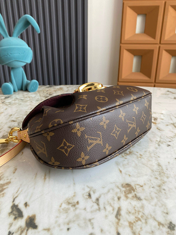 Anum Bags LVn Luxury Bag --79069