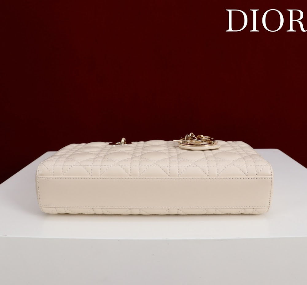Ezyycart Bags Diorn Luxury Bag --115621