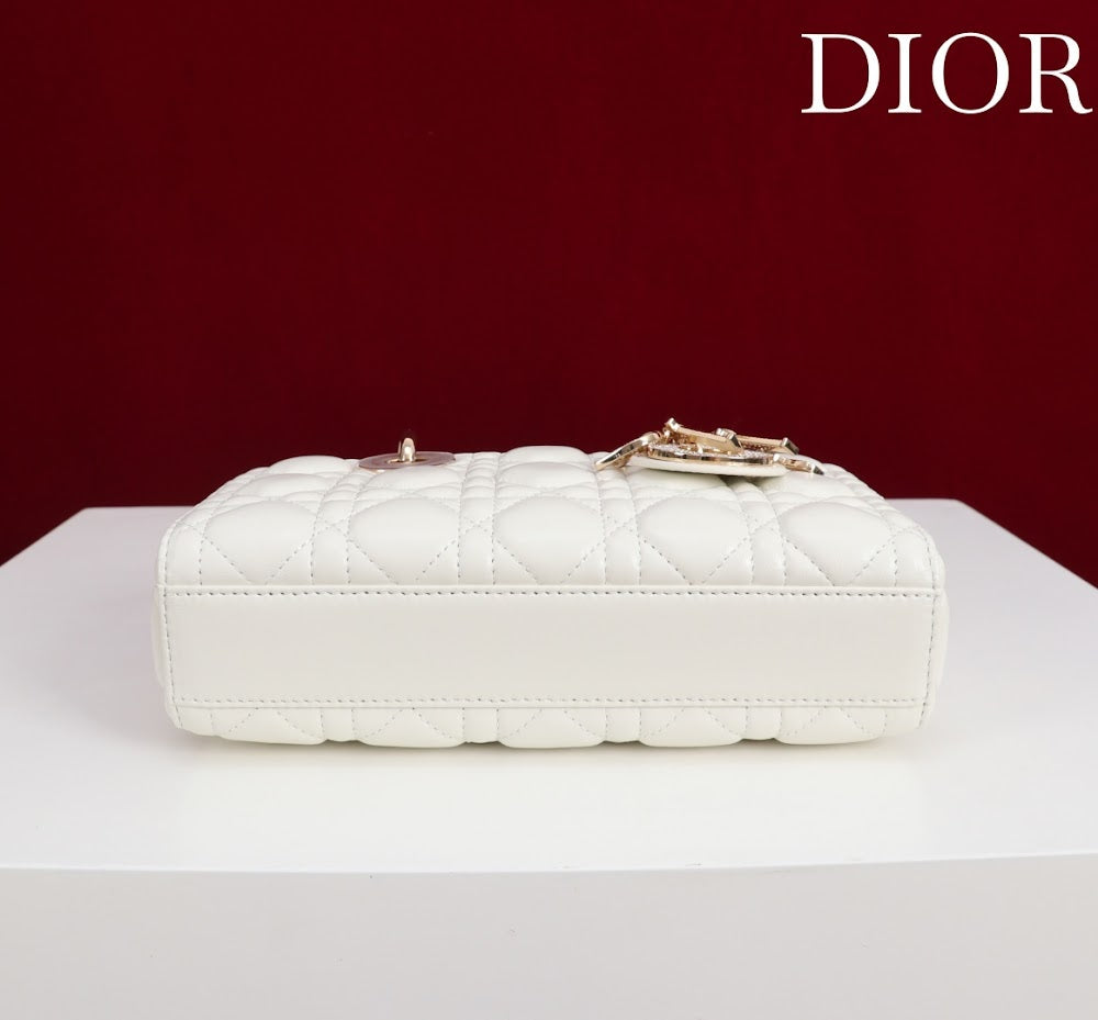 Ezyycart Bags Diorn Luxury Bag --115625