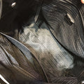 Ezyycart Bags Prada Luxury Bag --53585
