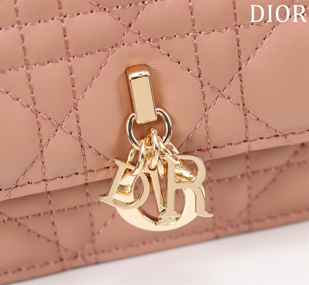 Ezyycart Bags Diorn Luxury Bag --116233