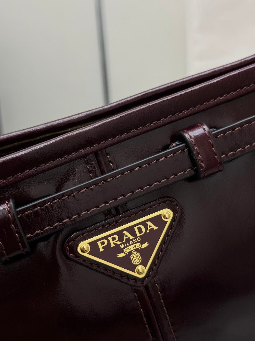 Ezyycart Bags Pradn Luxury Bag --101371