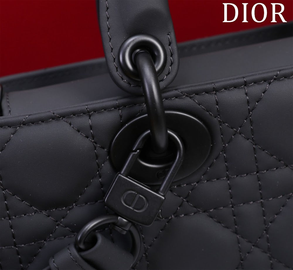 Anum Bags Diorn Luxury Bag --114857