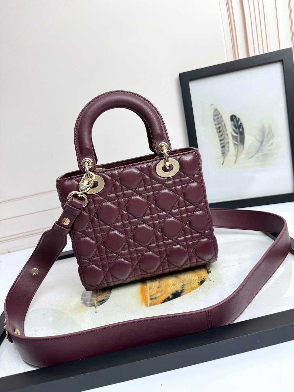Anum Bags Diorn Luxury Bag --114945