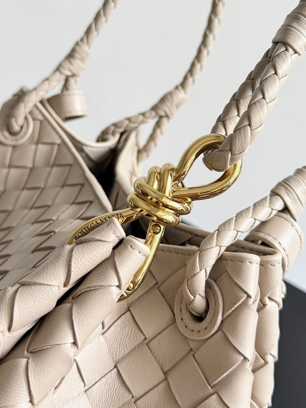 Ezyycart Bags Bottegan Luxury Bag --91382