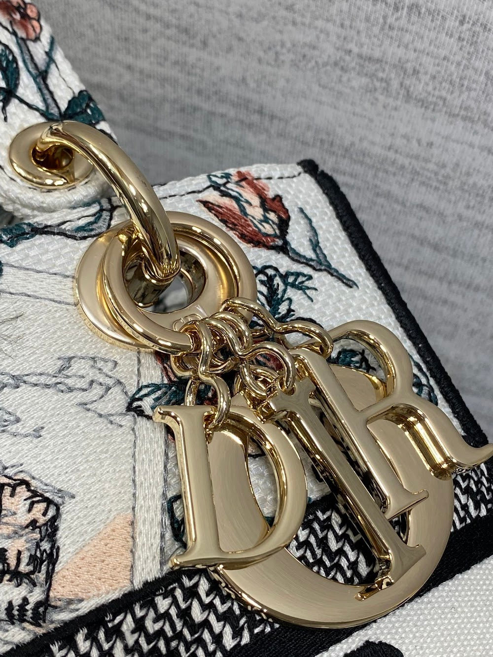 Anum Bags Diorn Luxury Bag --114942