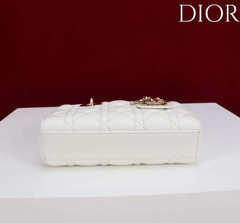 Ezyycart Bags Diorn Luxury Bag --115418