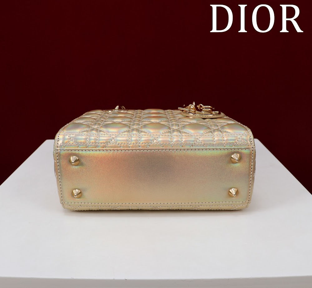 Ezyycart Bags Diorn Luxury Bag --115942