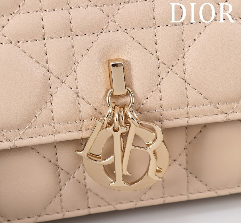Ezyycart Bags Diorn Luxury Bag --116291