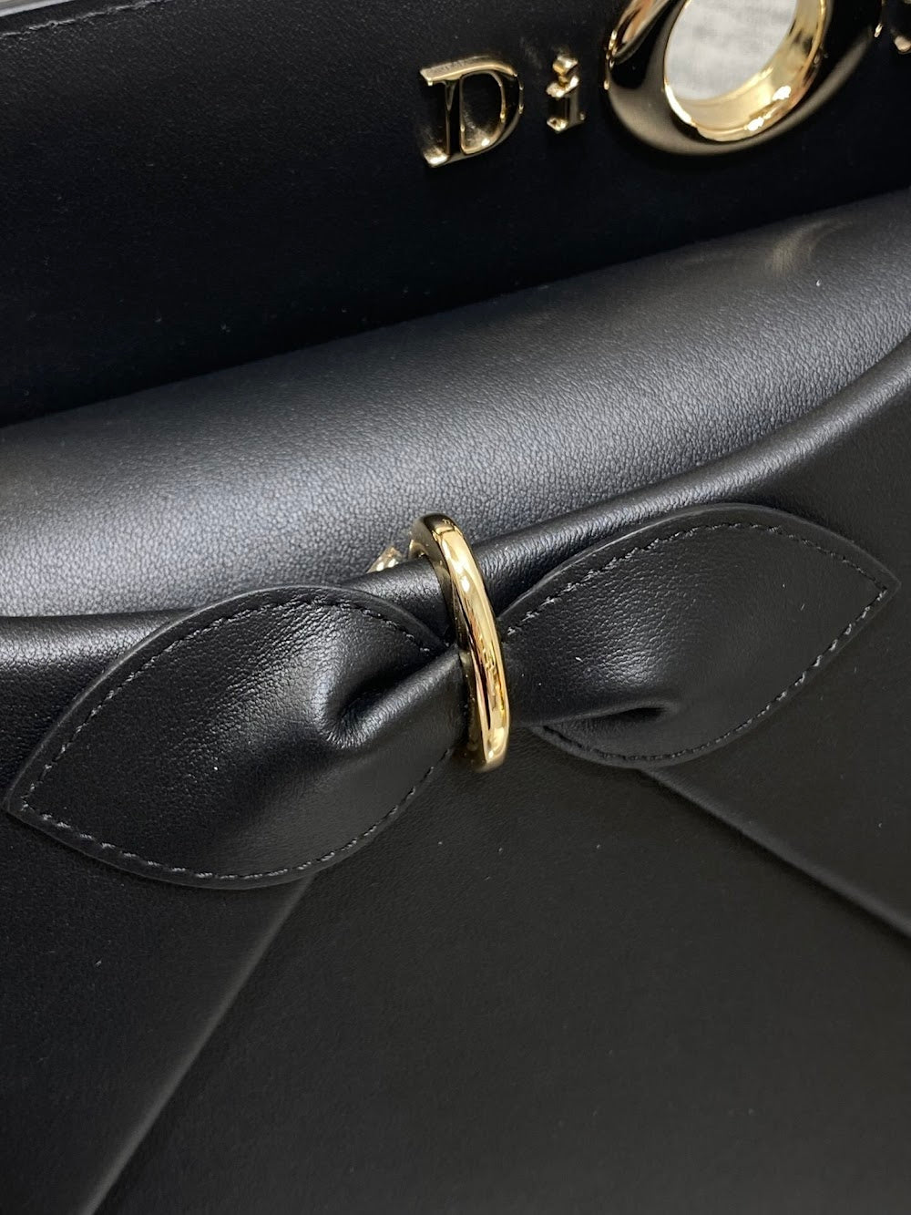 Anum Bags Diorn Luxury Bag --114858