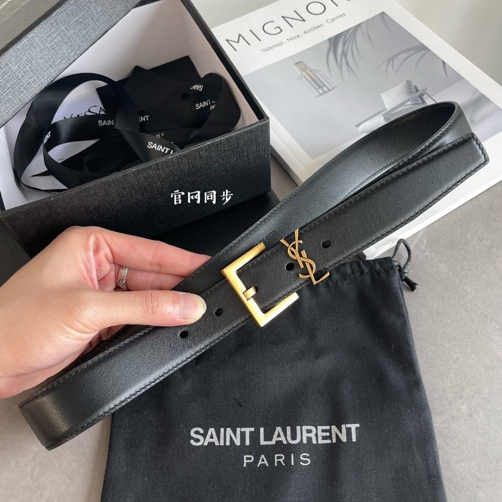 Ezyycart Bags YSLn Luxury Belt --110410