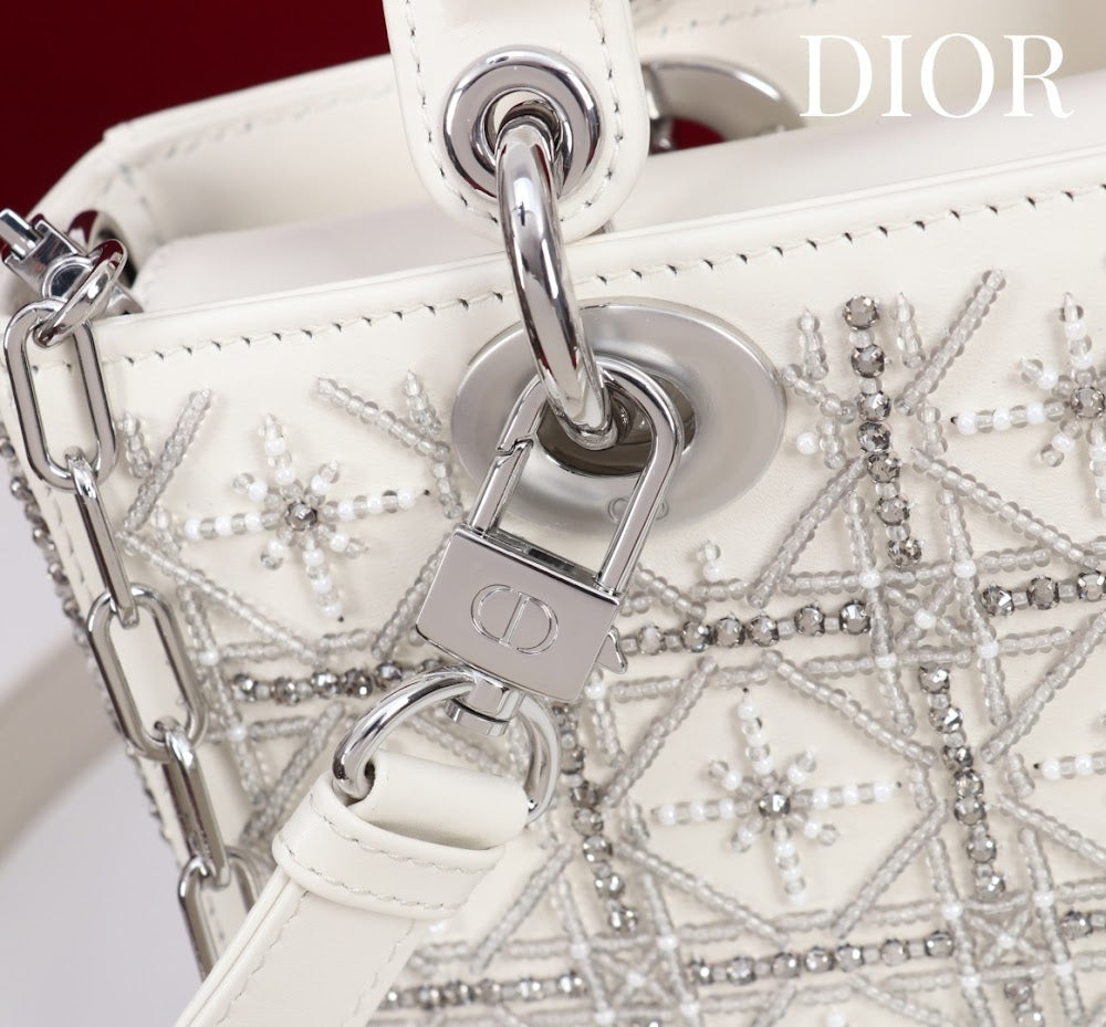Anum Bags Diorn Luxury Bag --114700