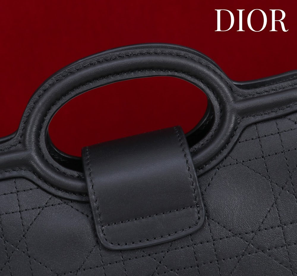Anum Bags Diorn Luxury Bag --114445