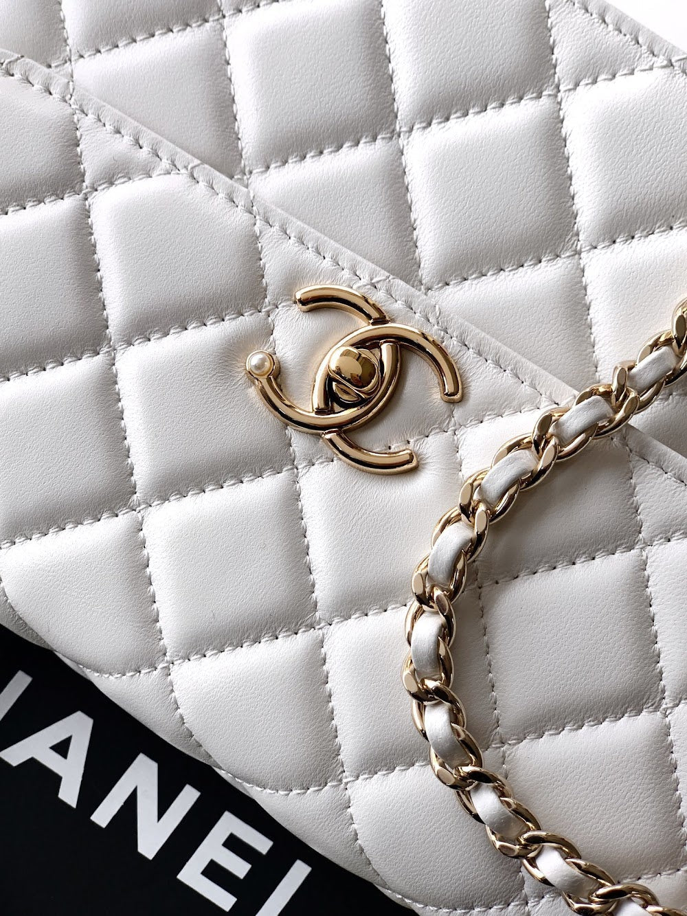 Anum Bags CHn Luxury Bag --113957