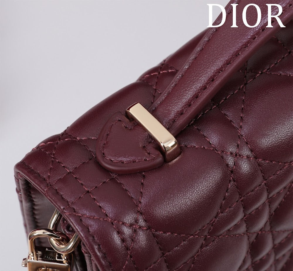 Ezyycart Bags Diorn Luxury Bag --116301