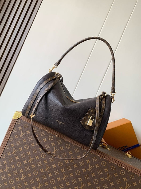 Anum Bags LVn Luxury Bag --79057