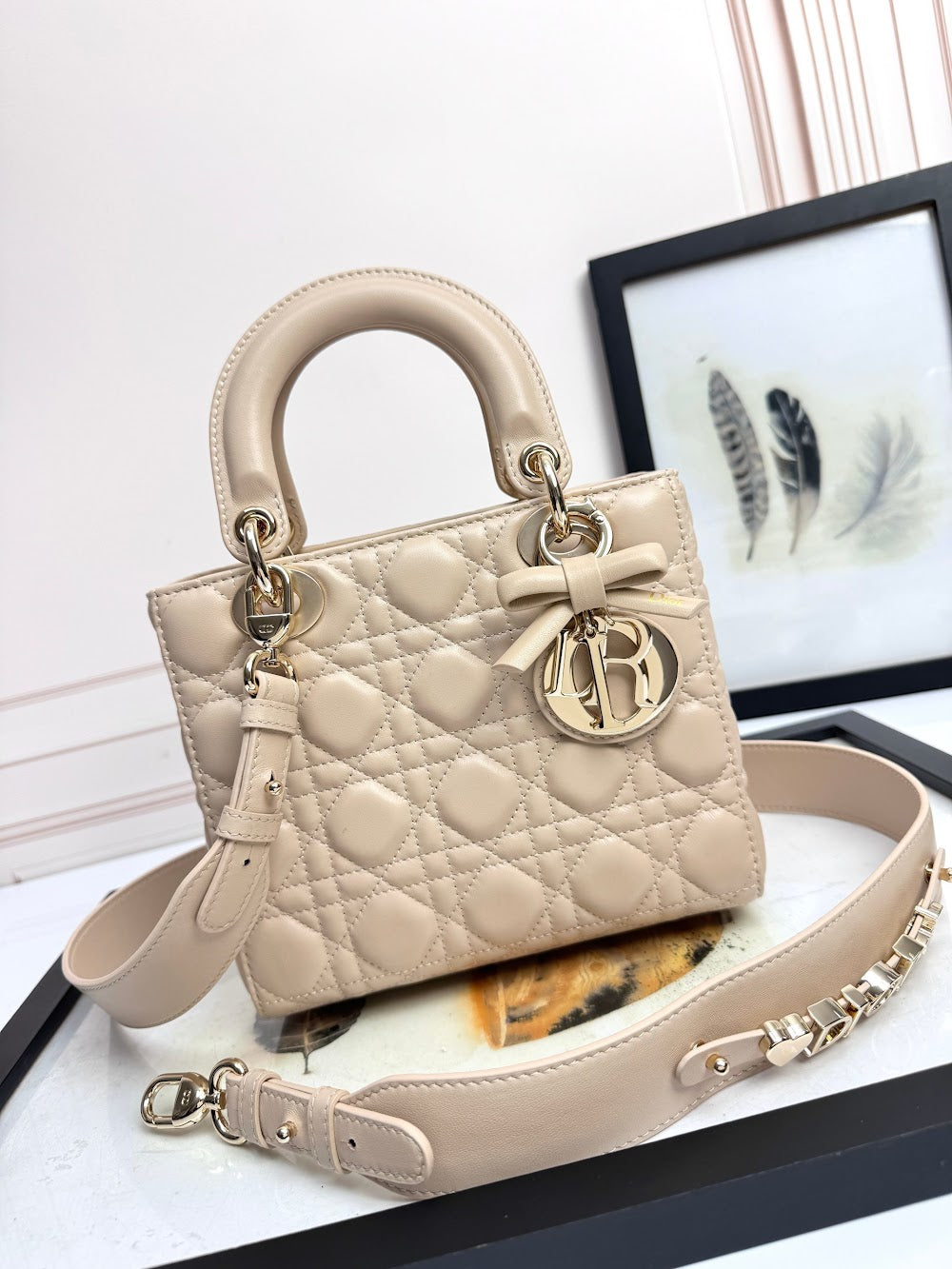 Anum Bags Diorn Luxury Bag --114949