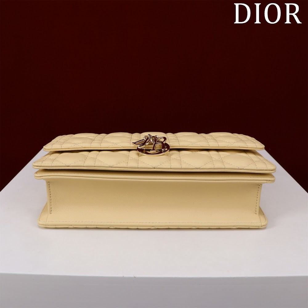 Ezyycart Bags Diorn Luxury Bag --116293
