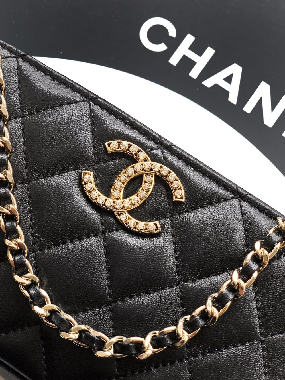 Anum Bags CHn Luxury Bag --113039