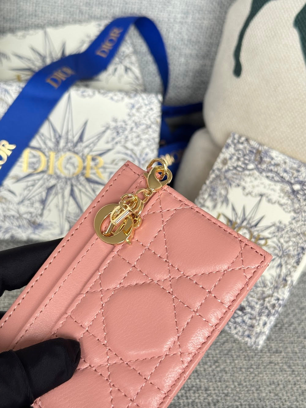 Anum Bags Diorn Luxury Bag --114677