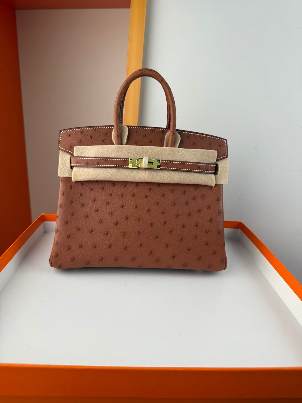 Anum Bags Hermesn Luxury Bag --116770