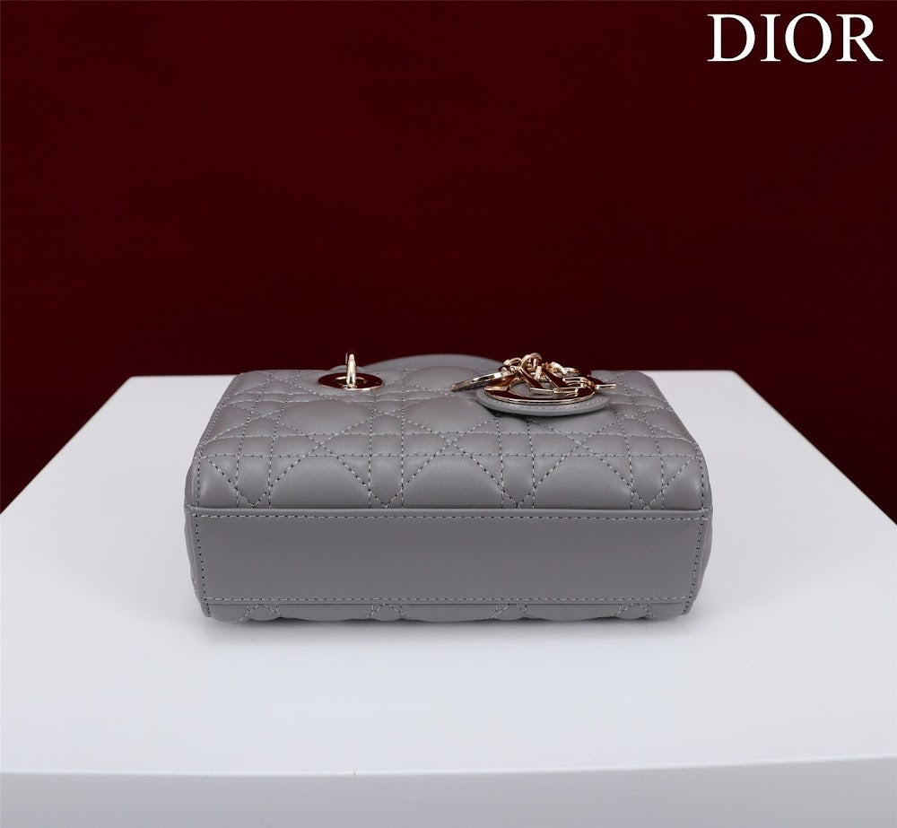 Ezyycart Bags Diorn Luxury Bag --116465
