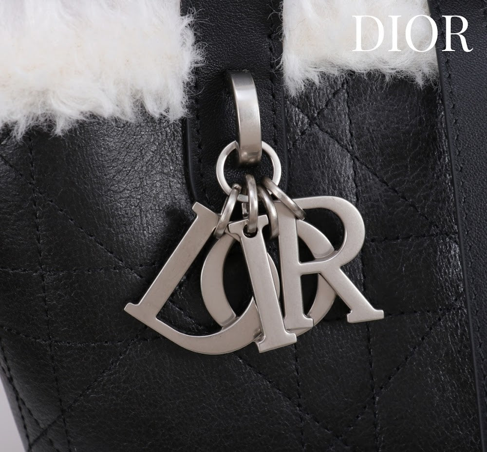 Anum Bags Diorn Luxury Bag --114886