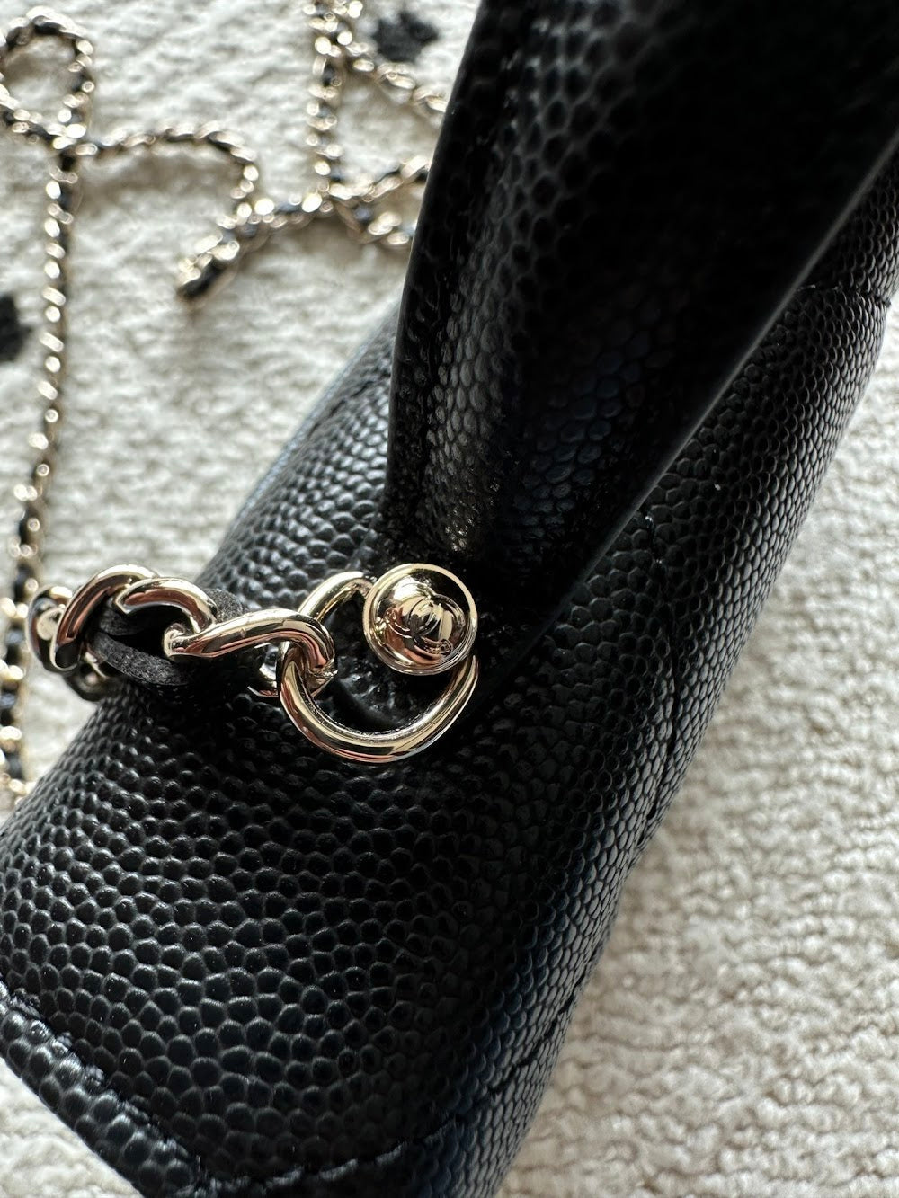 Anum Bags CHn Luxury Bag --112708