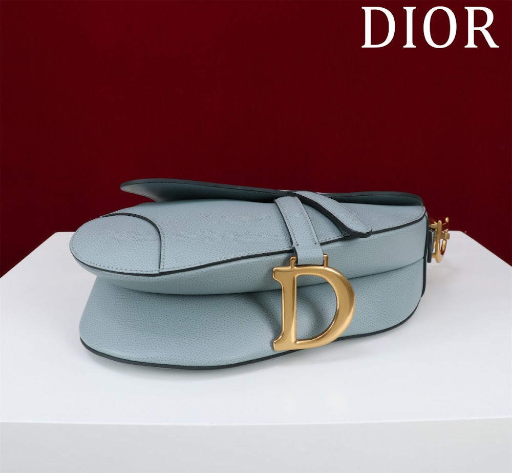 Ezyycart Bags Diorn Luxury Bag --116503