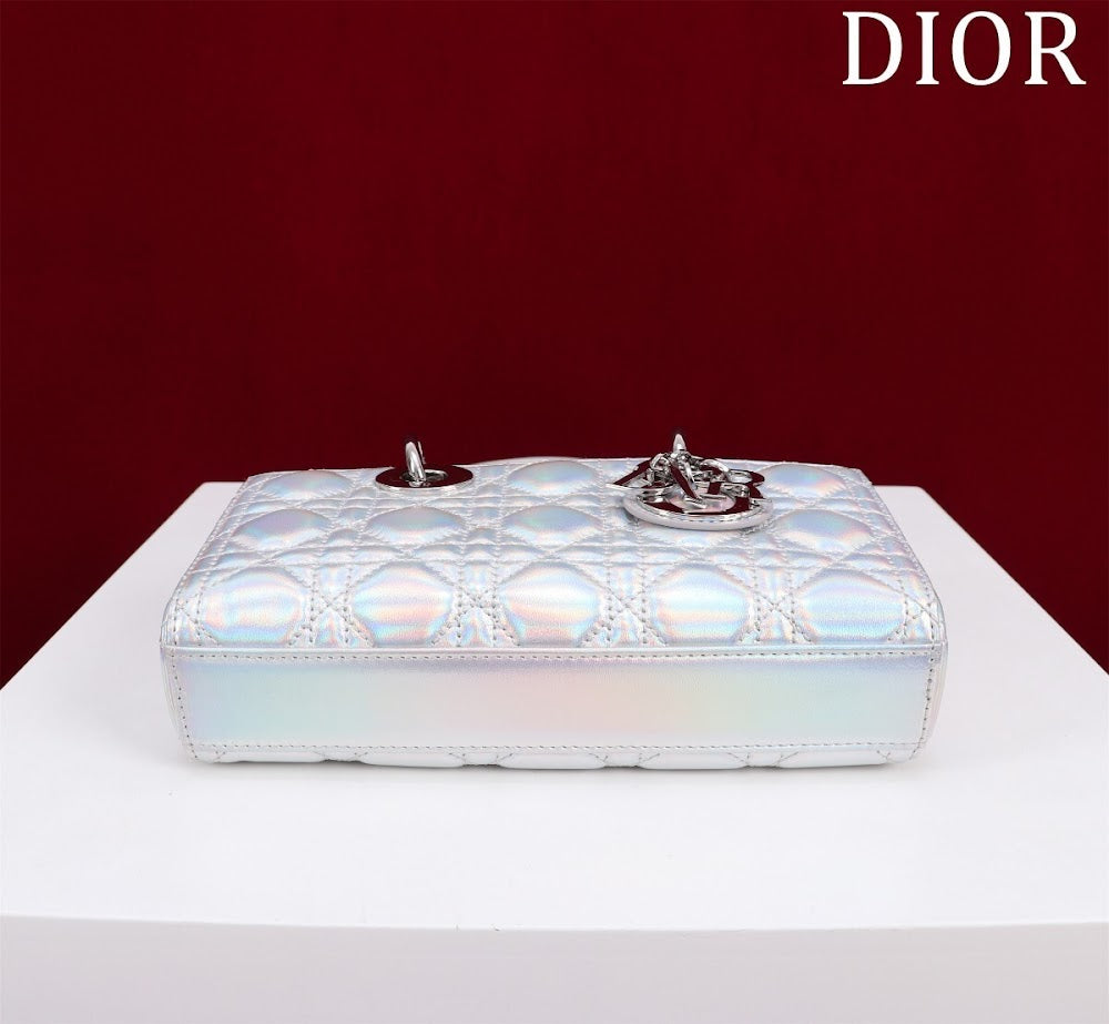 Anum Bags Diorn Luxury Bag --114772