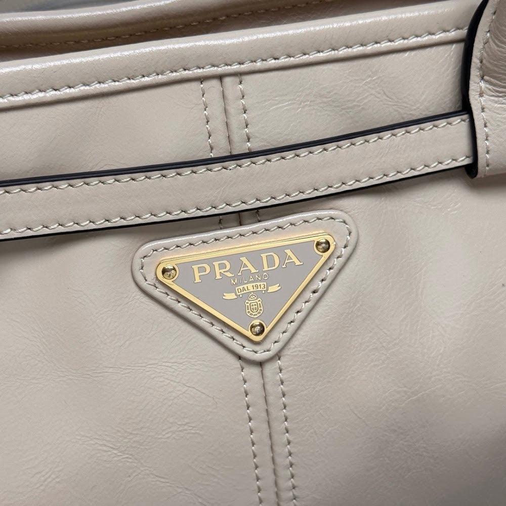 Ezyycart Bags Pradn Luxury Bag --102223