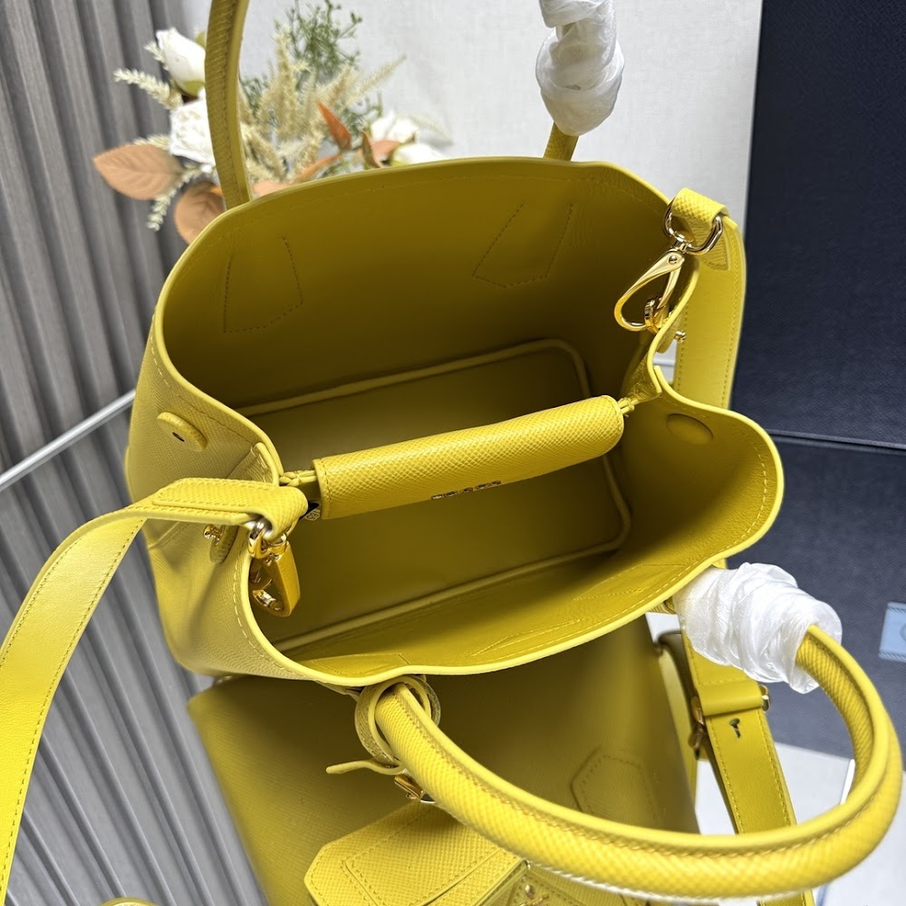 Ezyycart Bags Pradn Luxury Bag --102318